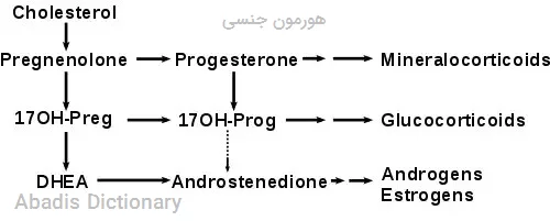 هورمون جنسی